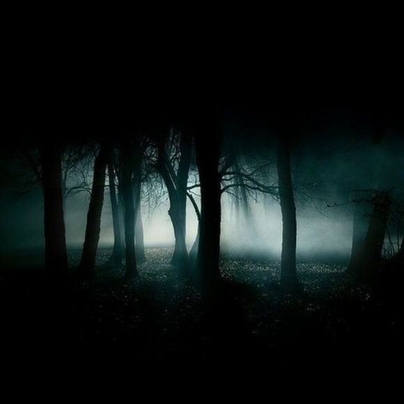 Meet your Posher, Rubi - Picture 1 of 1